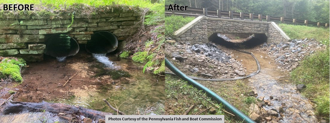 Before and after replacement of an undersized culvert crossing using stream continuity