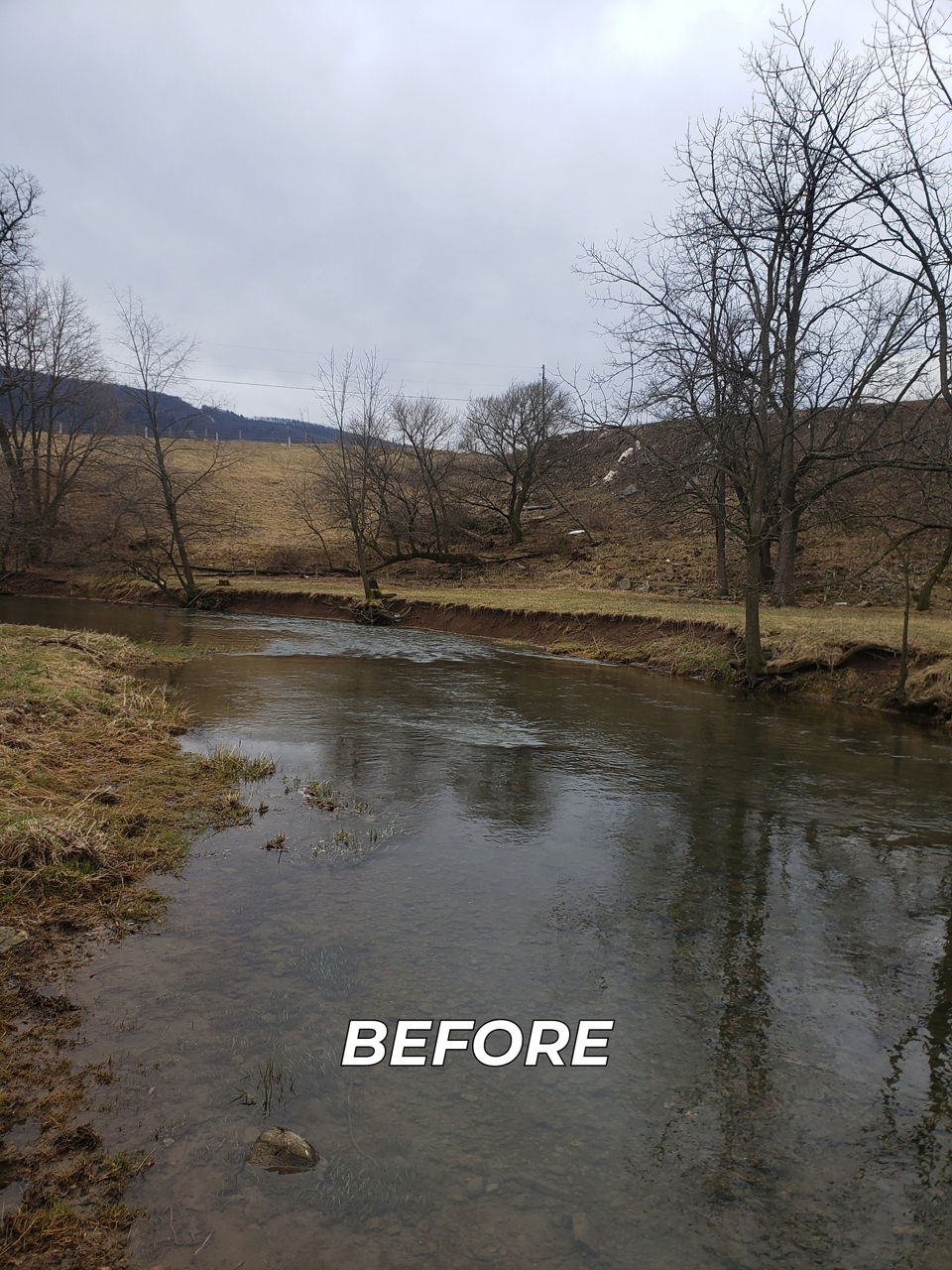 A picture of Kishaquillas Creek in Mifflin County displaying an eroding stream bank before habitat improvement