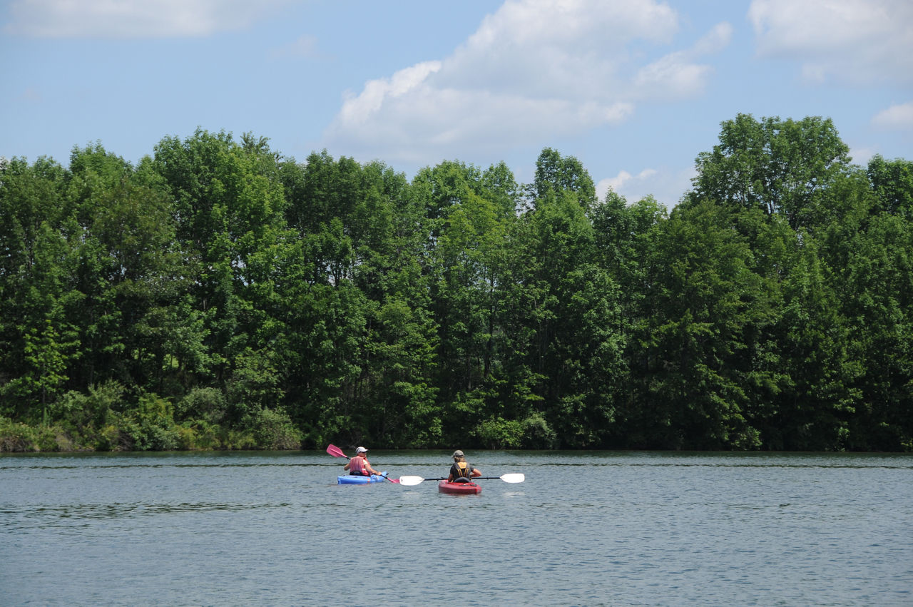 Two kayakers paddling on the lake with a forest in the background