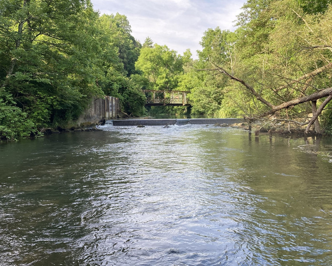 Photo of Benner Spring Dam pictured with dam before removal.
