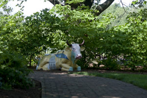 Bessie The Cow Parade Cow at The Residence