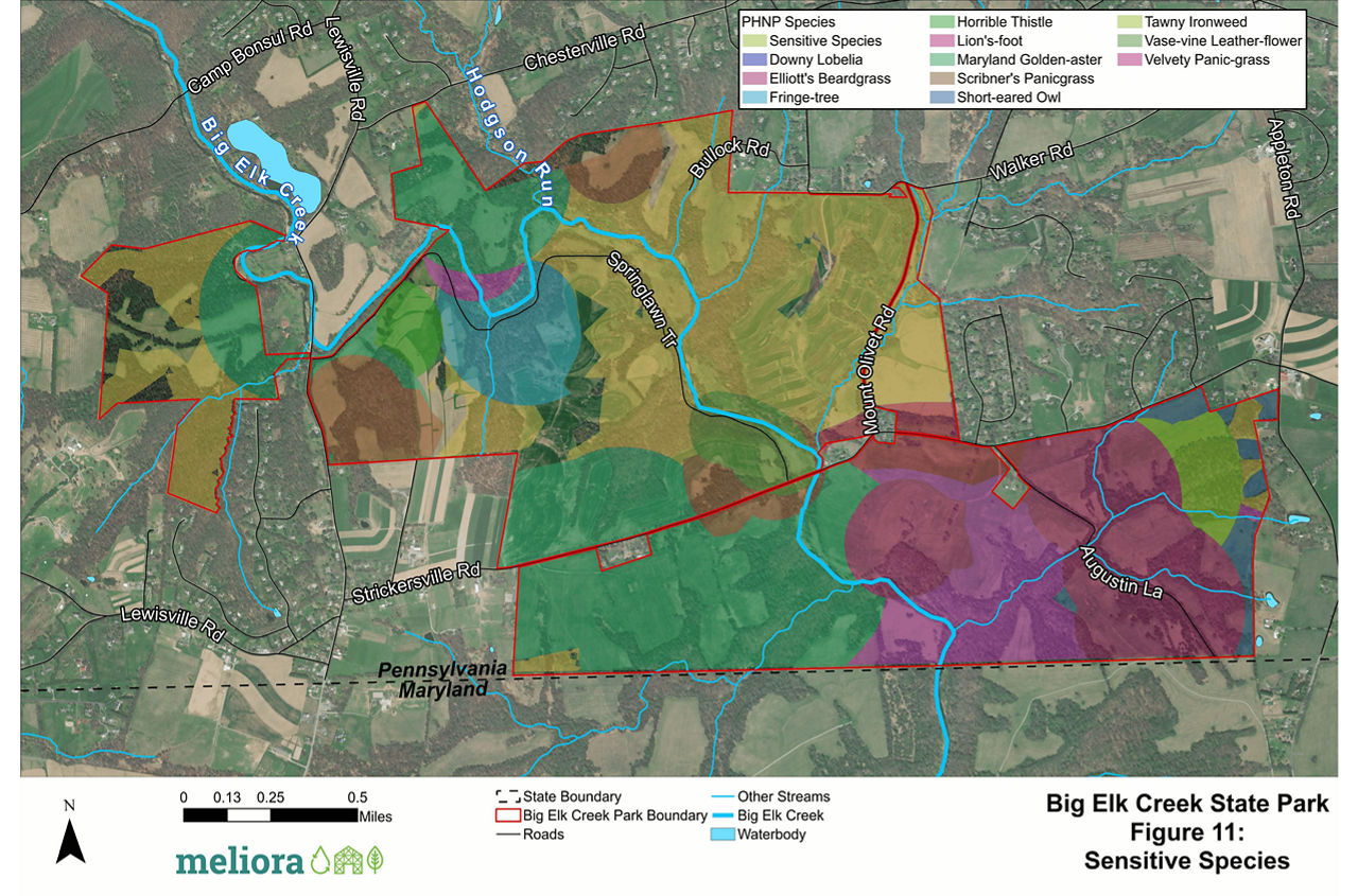Figure 11: a map showing the sensitive species locations at Big Elk Creek State Park.
