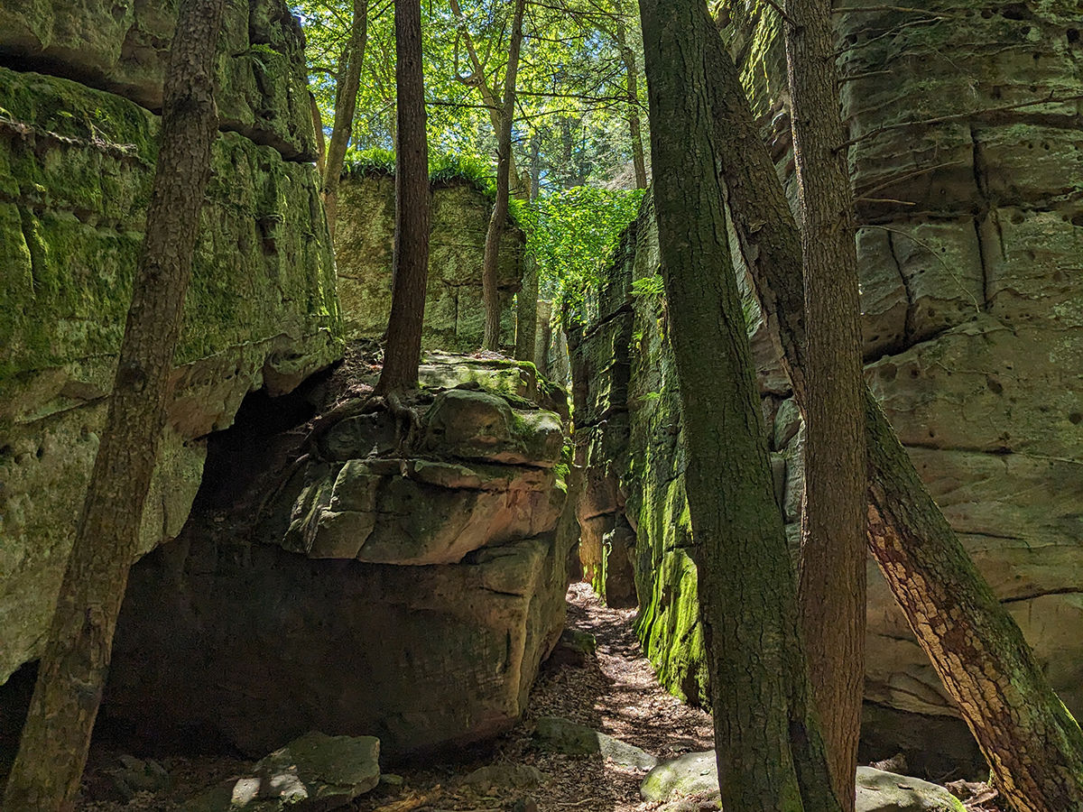 Narrow forest path winding through tall moss-covered rock formations with sunlight filtering through green tree canopy above.
