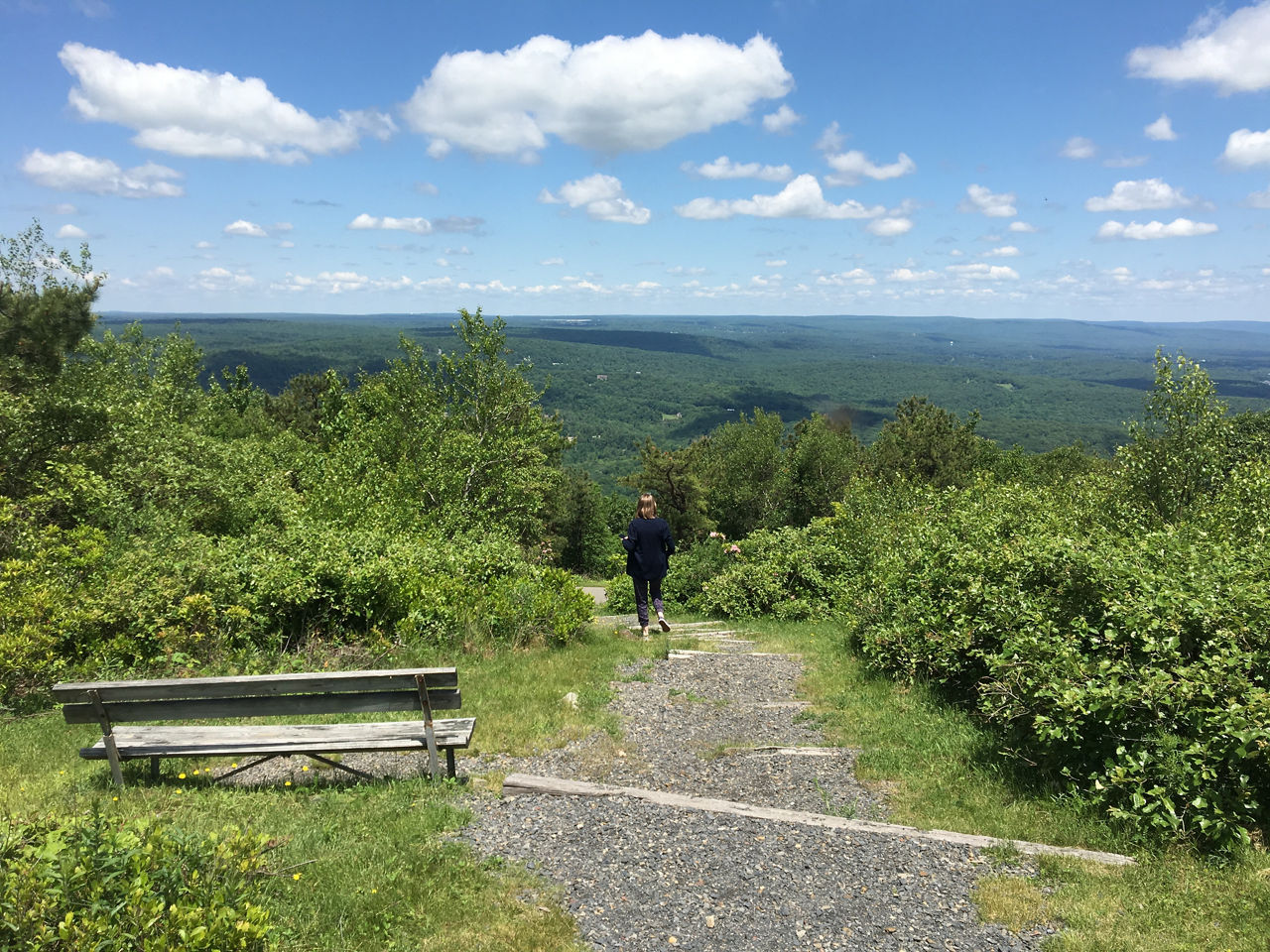 A picnic table and gravel path surrounded by green forest on a sunny day