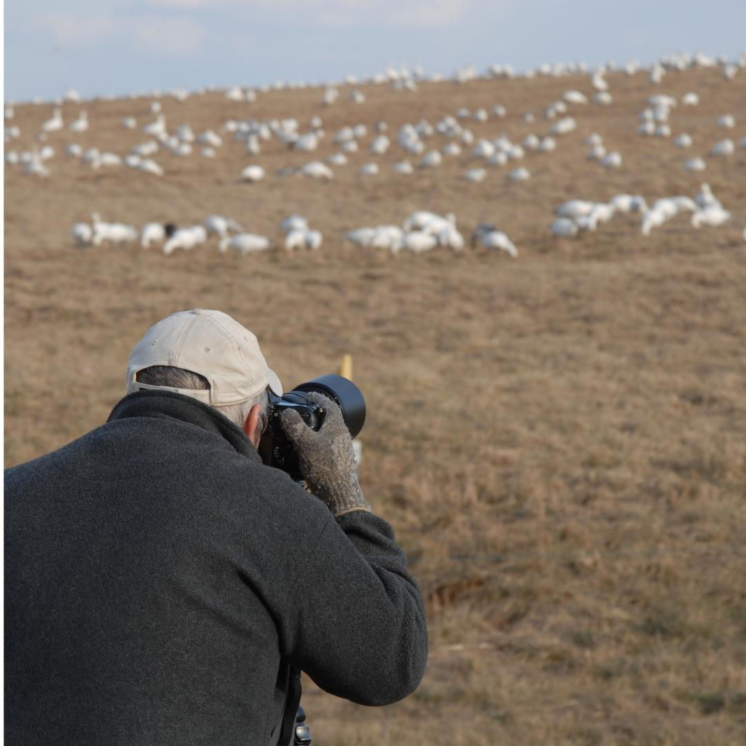 birder