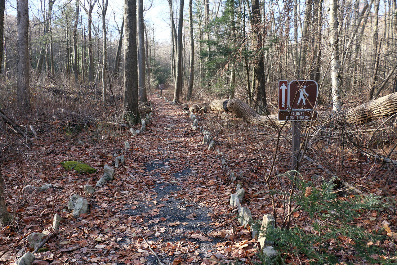 A gravel paths lined with larger rocks, covered with fallen brown leaves on a fall day.