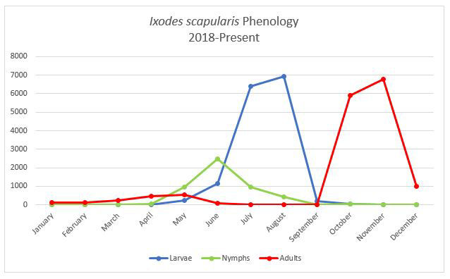 Blacklegged tick graph