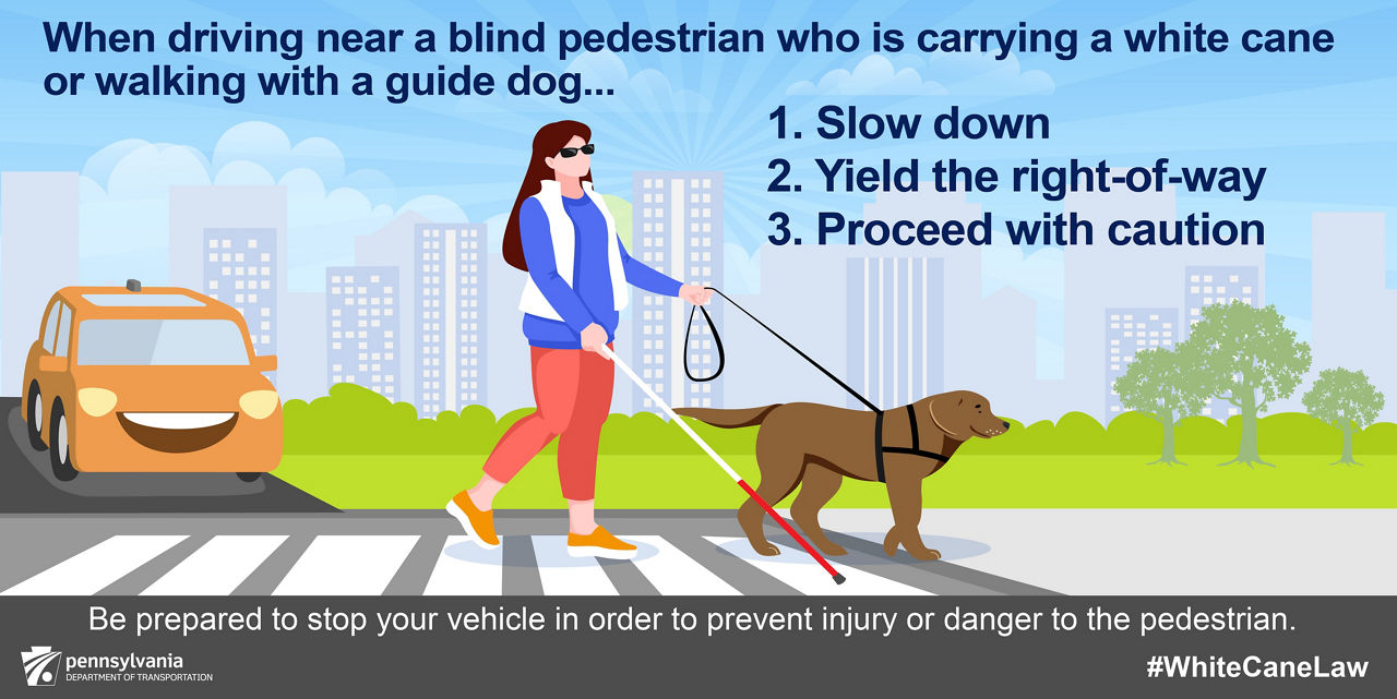 Blind Pedestrians - X/Twitter