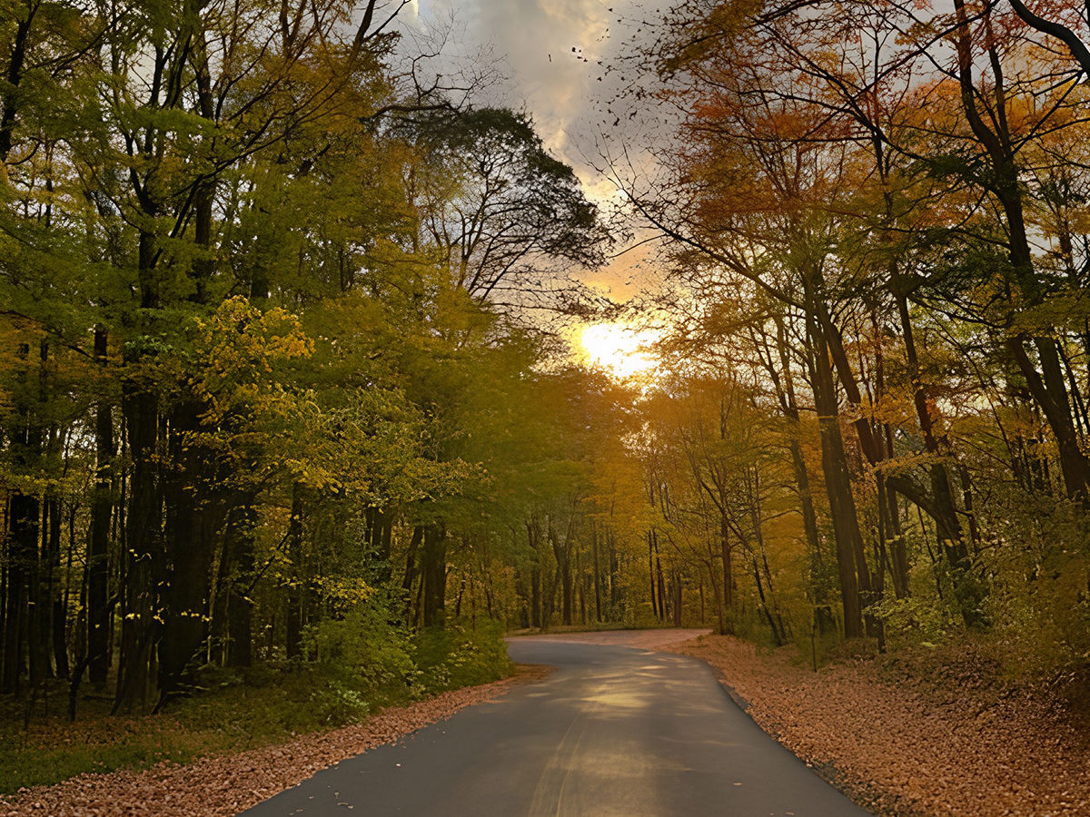 A winding road through a forest during autumn, lined with trees displaying vibrant yellow, orange, and red leaves. The sun is setting in the background, casting a warm glow over the scene, while fallen leaves cover the ground. The sky is partly cloudy, adding to the serene atmosphere of the landscape.