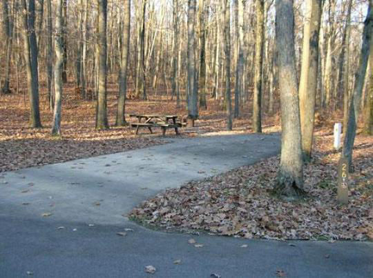 A paved, accessible path meanders through a tranquil forest with bare trees and fallen leaves. A picnic table, designed for easy access, is visible in the background, inviting visitors to enjoy a meal in nature. 