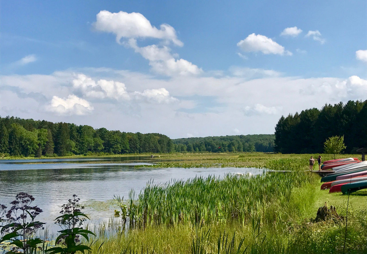 Boats and grasses along a lake reflecting the blue sky and clouds