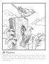 Eastern bluebird