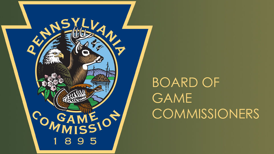 board of commissioner