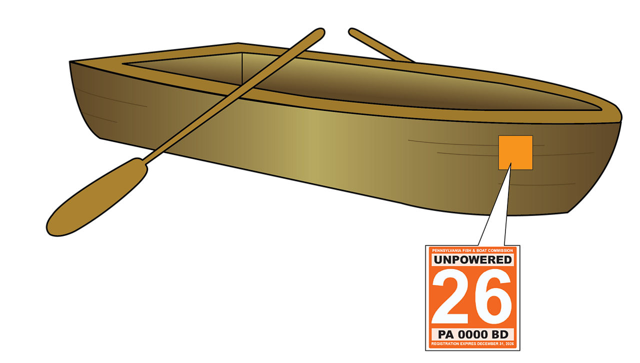 Graphic explaining placement of boat registration stickers on a rowboat. Boat Registration stickers go on both sides of the front hull of your vessel.