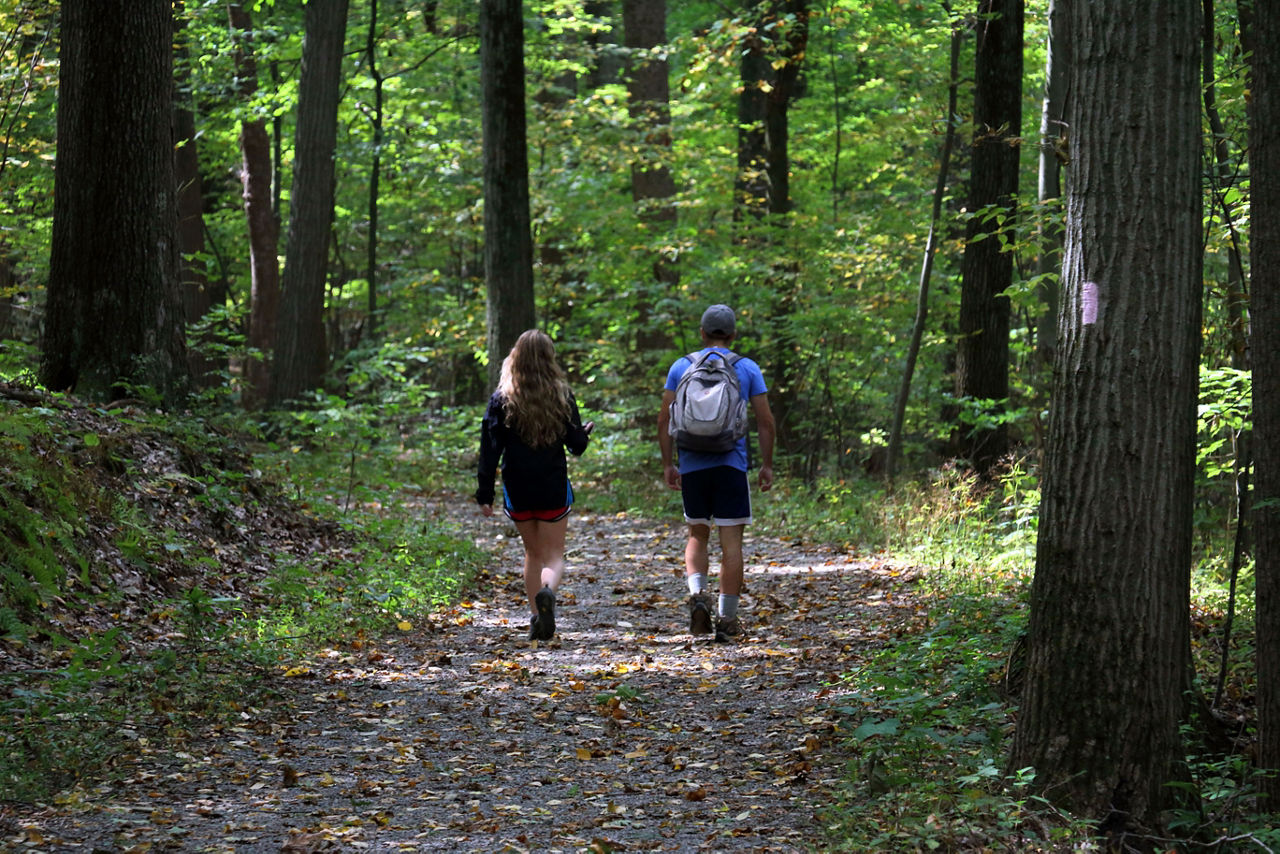 Two hikers on a gravel path surrounded by a lush green forest