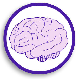 brain