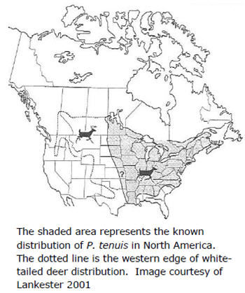 Map of known distribution of brain worm in North America