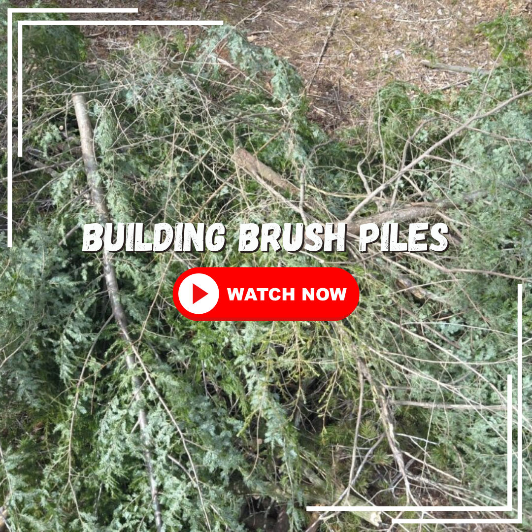 brushpile