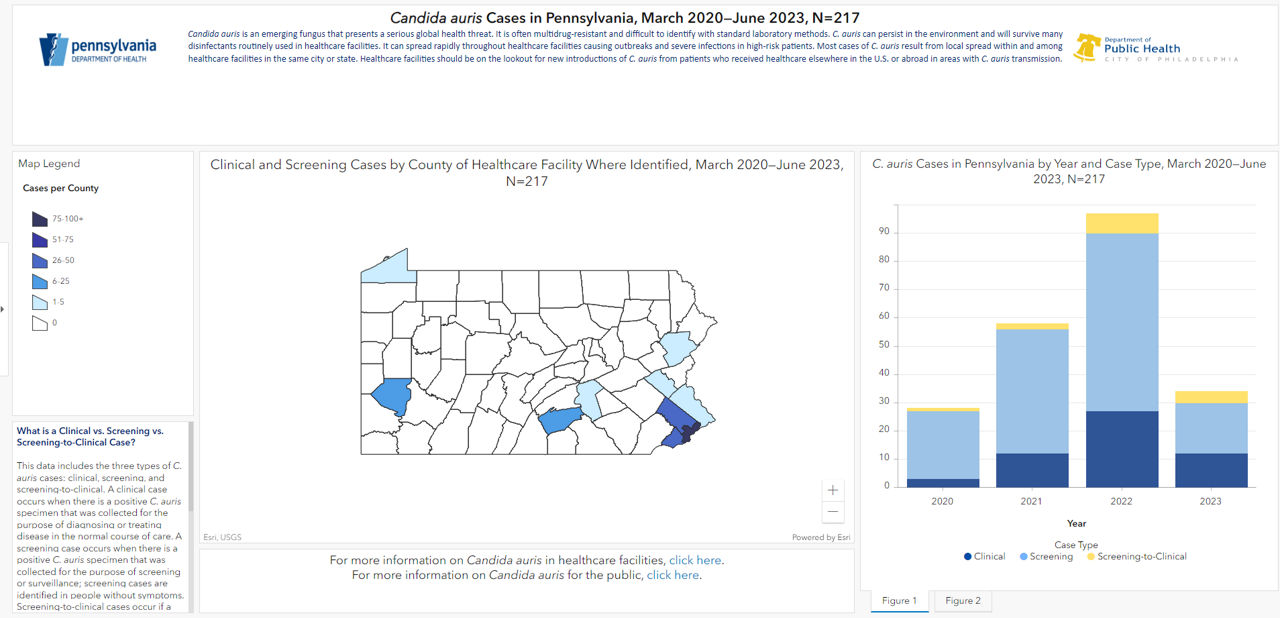 C. auris Data Dashboard