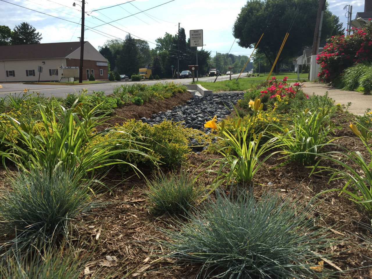 stormwater control area on side of road