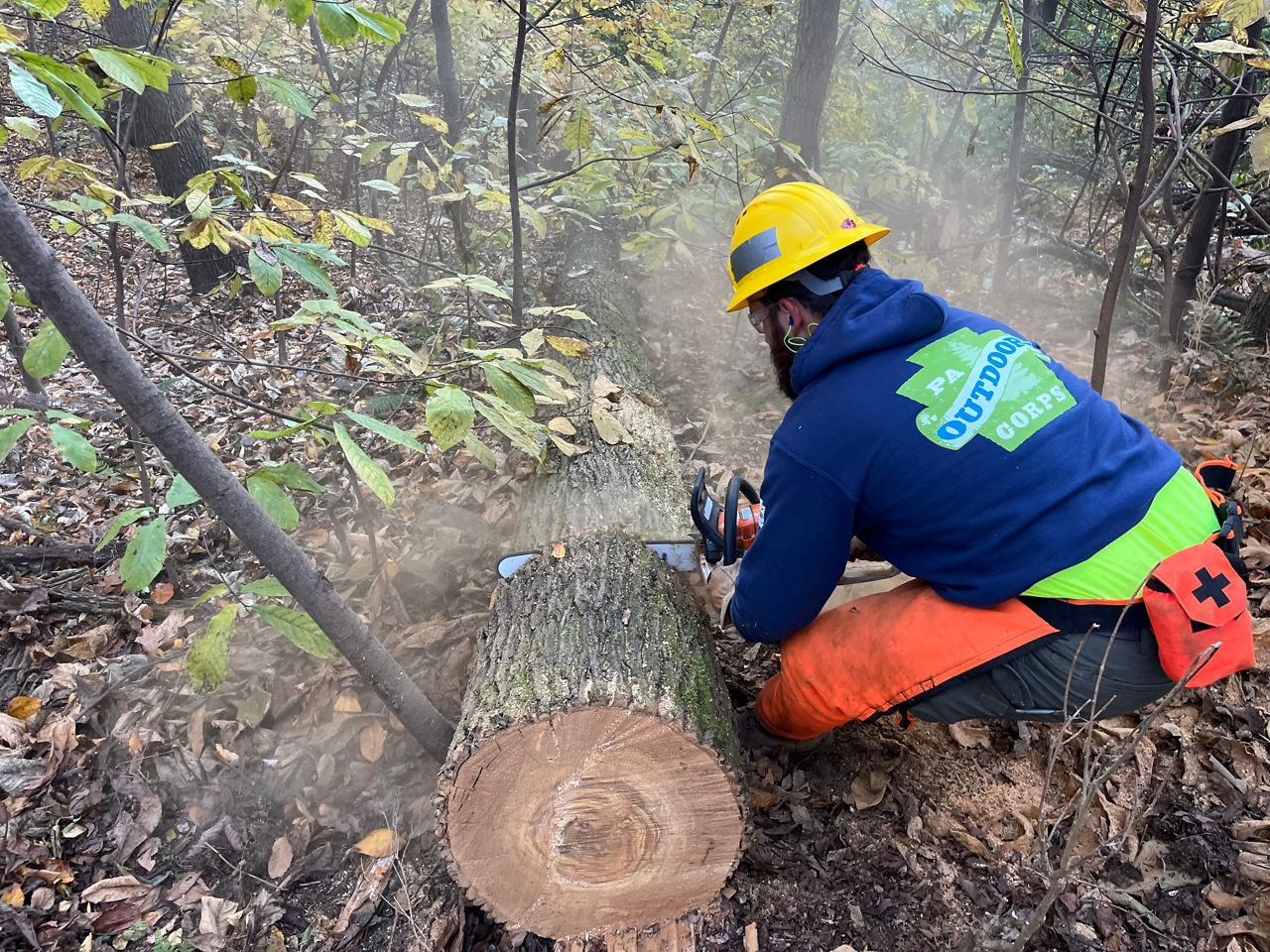 A PA Outdoor Corps Member cuts a tree with a chainsaw while wearing protective gear.