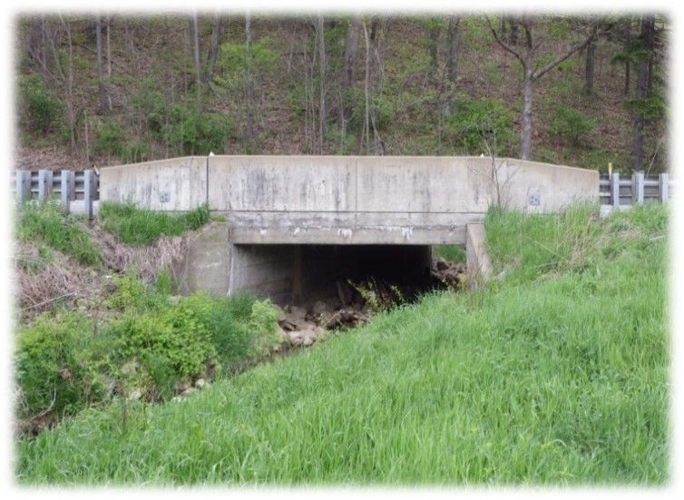 A bridge over a stream with a grassy field in the foreground.