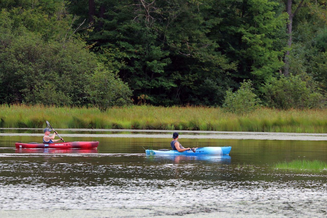 A two kayakers paddling on the lake on a lush green summer day