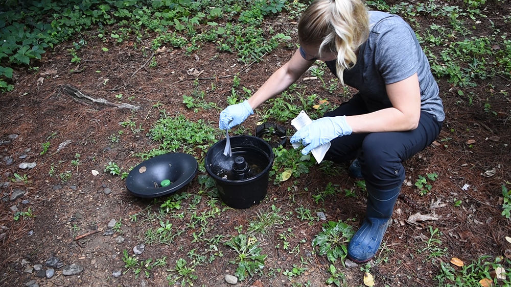 DEP Vector Management staff services a mosquito trap in a residential neighborhood in Dauphin County