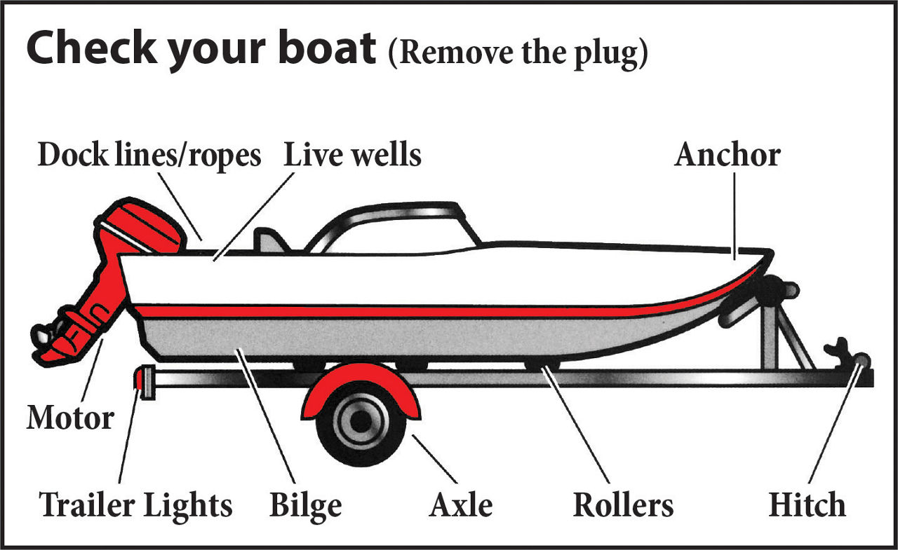 Check your boat. Remove the plug. Check dock lines/ropes, live wells, anchor, motor, trailer lights, bilge, axle, rollers and hitch.