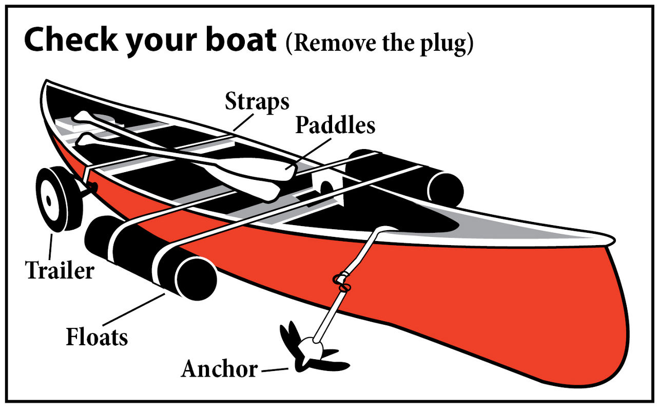 Check your boat (canoe). Remove the plug. Check straps, paddles, trailer, floats and anchor.