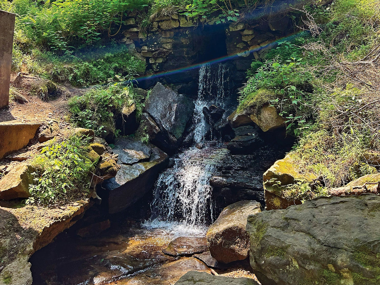 AA small waterfall along Toms Run in Cook Forest State Park