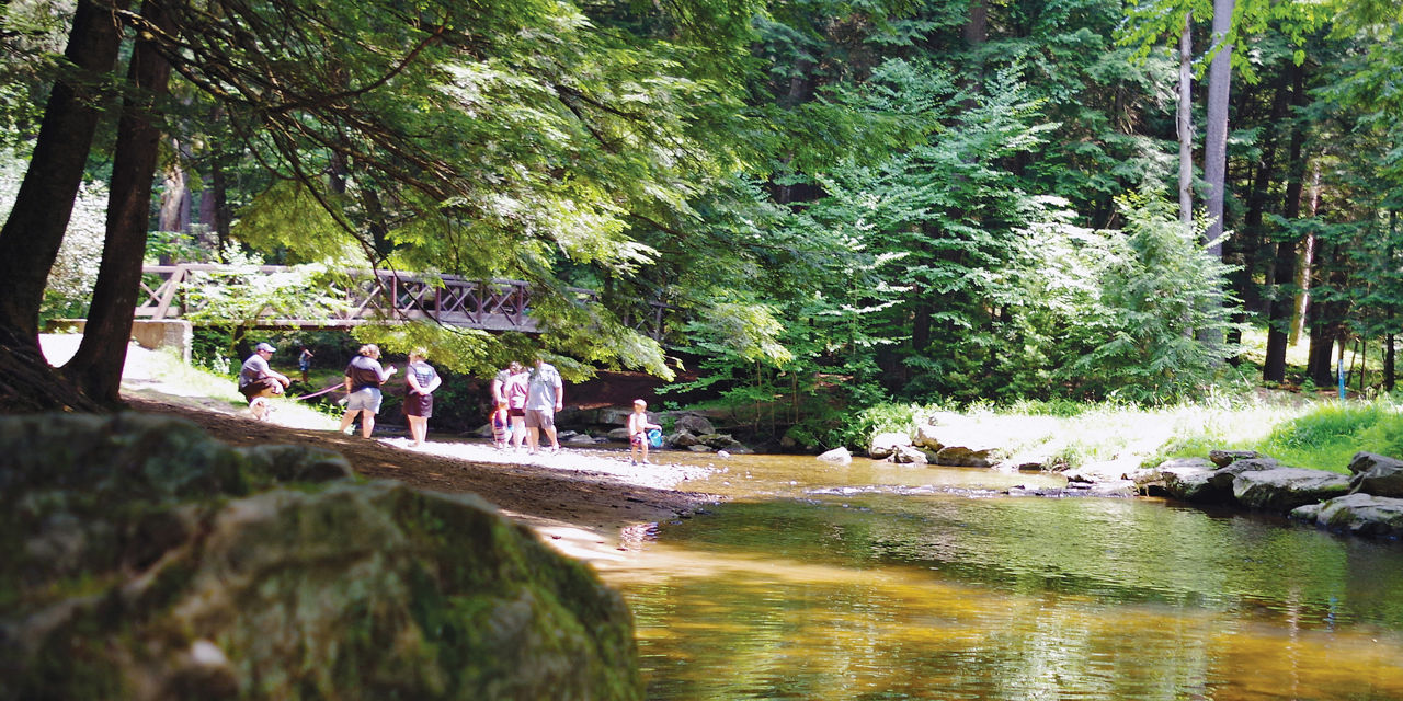 A wide shot of people standing along the shoreline of Toms Run in Cook Forest State Park on a sunny day. 