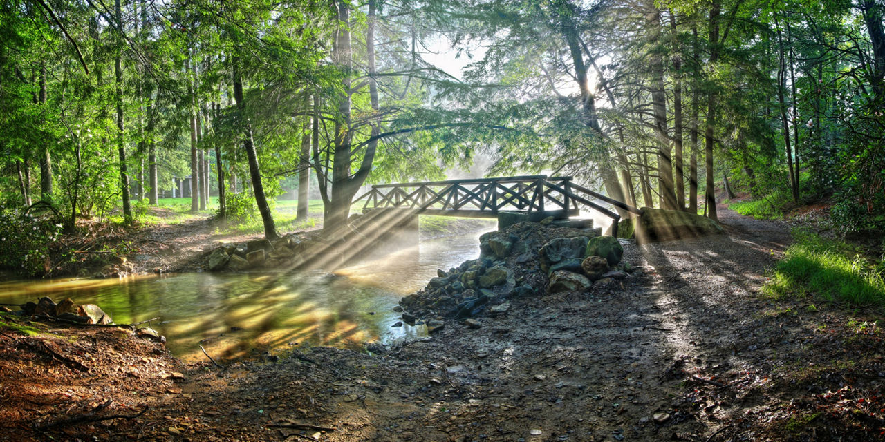 A bridge across a stream with beams of sunshine shining through