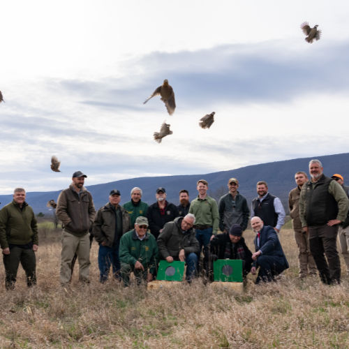 Commissioners in field