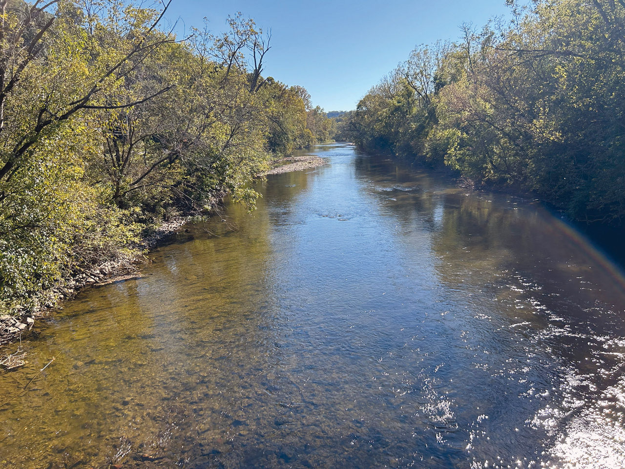 A view of the Conestoga River with trees lining the banks on each side.