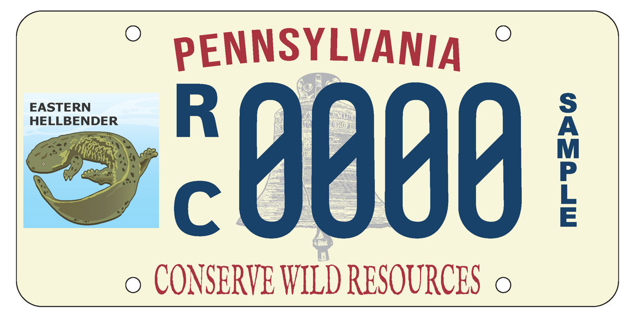 A sample Eastern Hellbender registration plate. The plate features an image of an Eastern Hellbender with the following text: "Pennsylvania -- Eastern Hellbender -- RC 0000 SAMPLE -- Conserve Wild Resources."