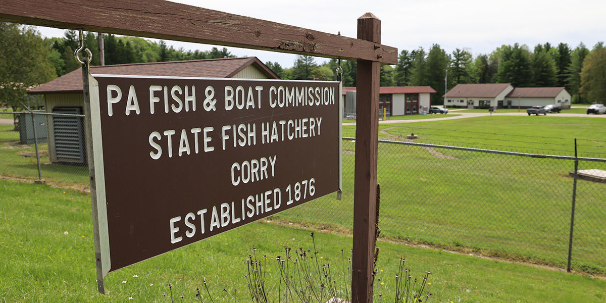 Brown sign at the entrance of Pennsylvania Fish and Boat Commission's Corry State Fish Hatchery. Established in 1876.