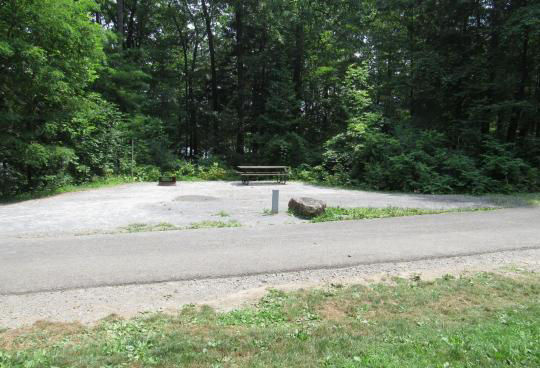 A gravel, accessible path meanders through a tranquil forest with bare trees and fallen leaves. A picnic table, designed for easy access, is visible in the background, inviting visitors to enjoy a meal in nature. 