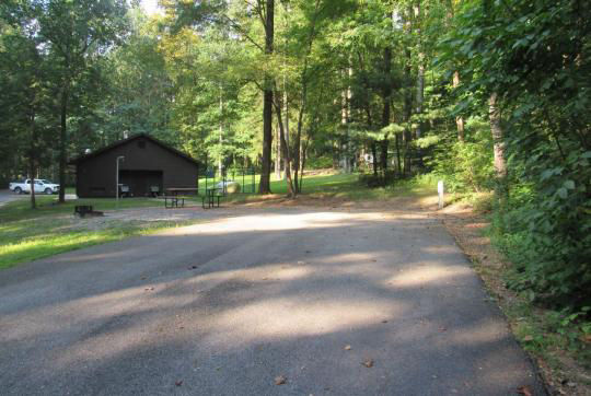 A paved, accessible path meanders through a tranquil forest with bare trees and fallen leaves. A picnic table, designed for easy access, is visible in the background, inviting visitors to enjoy a meal in nature. 