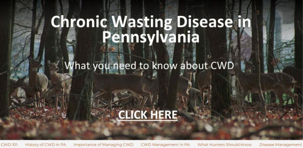 Chronic Wasting Disease in Pennsylvania Story Map