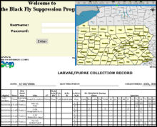 GIS-Based Data System