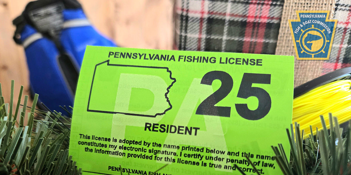 A green, printed 2025 fishing license with a reel of fishing line and a blue life jacket sitting on a holiday background of garland and plaid ribbon