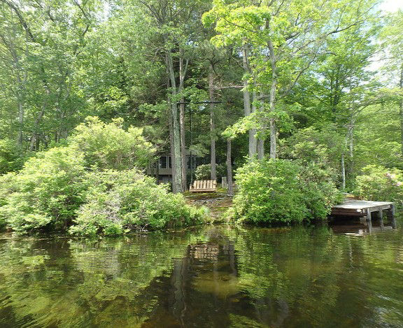 small cabin hidden in a forested shoreline with a small dock floating in the water