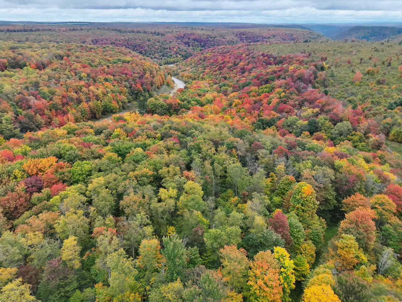 An expansive aerial view of a vast forest in full autumn color. The landscape is covered with dense trees displaying vivid shades of red, orange, yellow, and green. A winding road cuts through the middle of the valley, partially visible beneath the canopy. Rolling hills extend into the distance under a mostly cloudy sky, giving the scene depth and a sense of scale. The foliage appears at peak fall brightness, creating a rich, multicolored patchwork across the terrain.