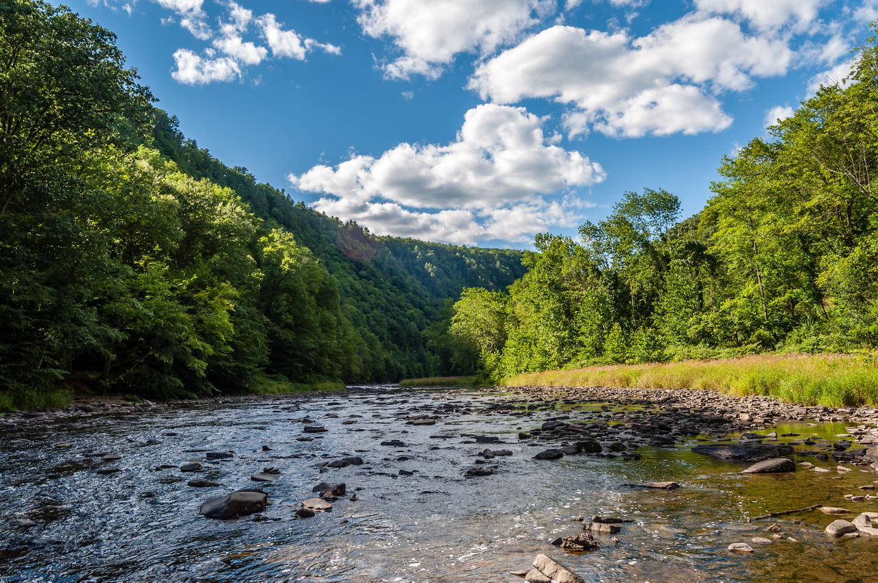 Pine Creek Running Through the "Grand Canyon" of Pennsylvania in Leonard Harrison State Park