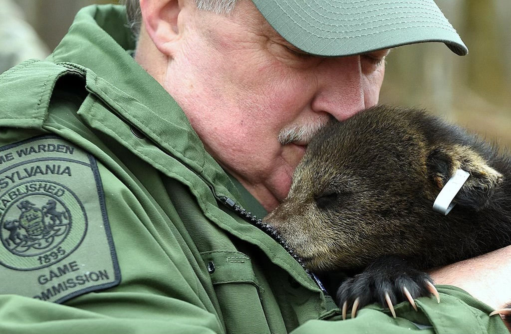 deputy and bear cub