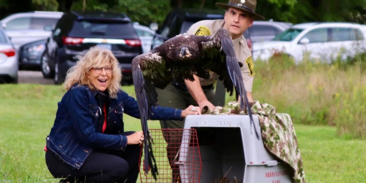 deputy releasing an eagle