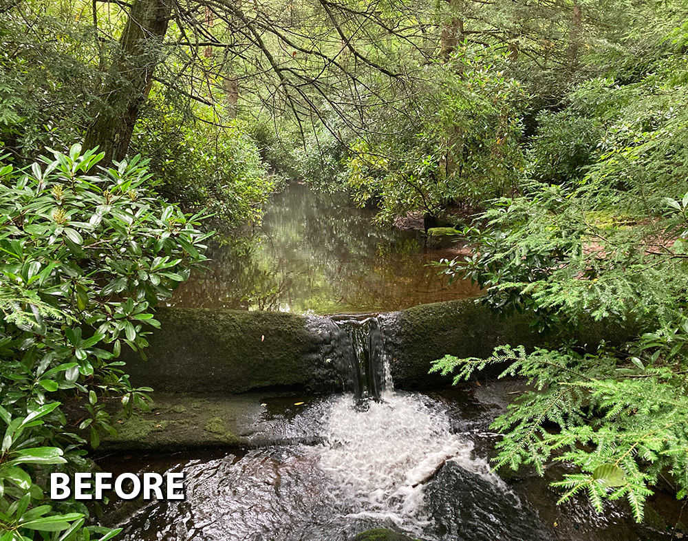 Photo of Dilldown Creek with a dam going across the width of the stream obstructing the natural water flow.