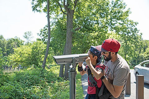 A park visitor holds a child up to a viewfinder in front of a forest