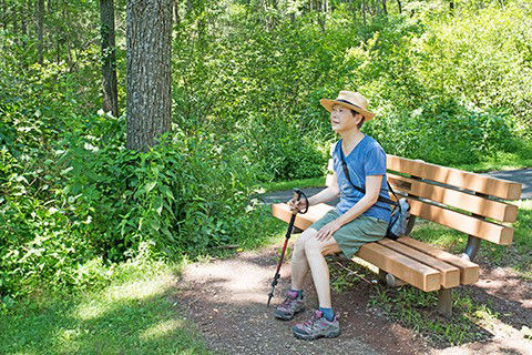 a park guest sits on a bench in front of a forest